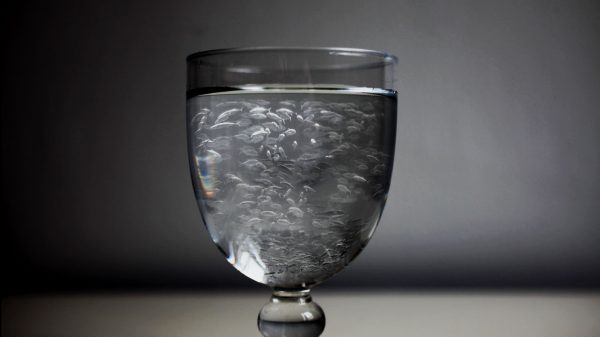fishglass